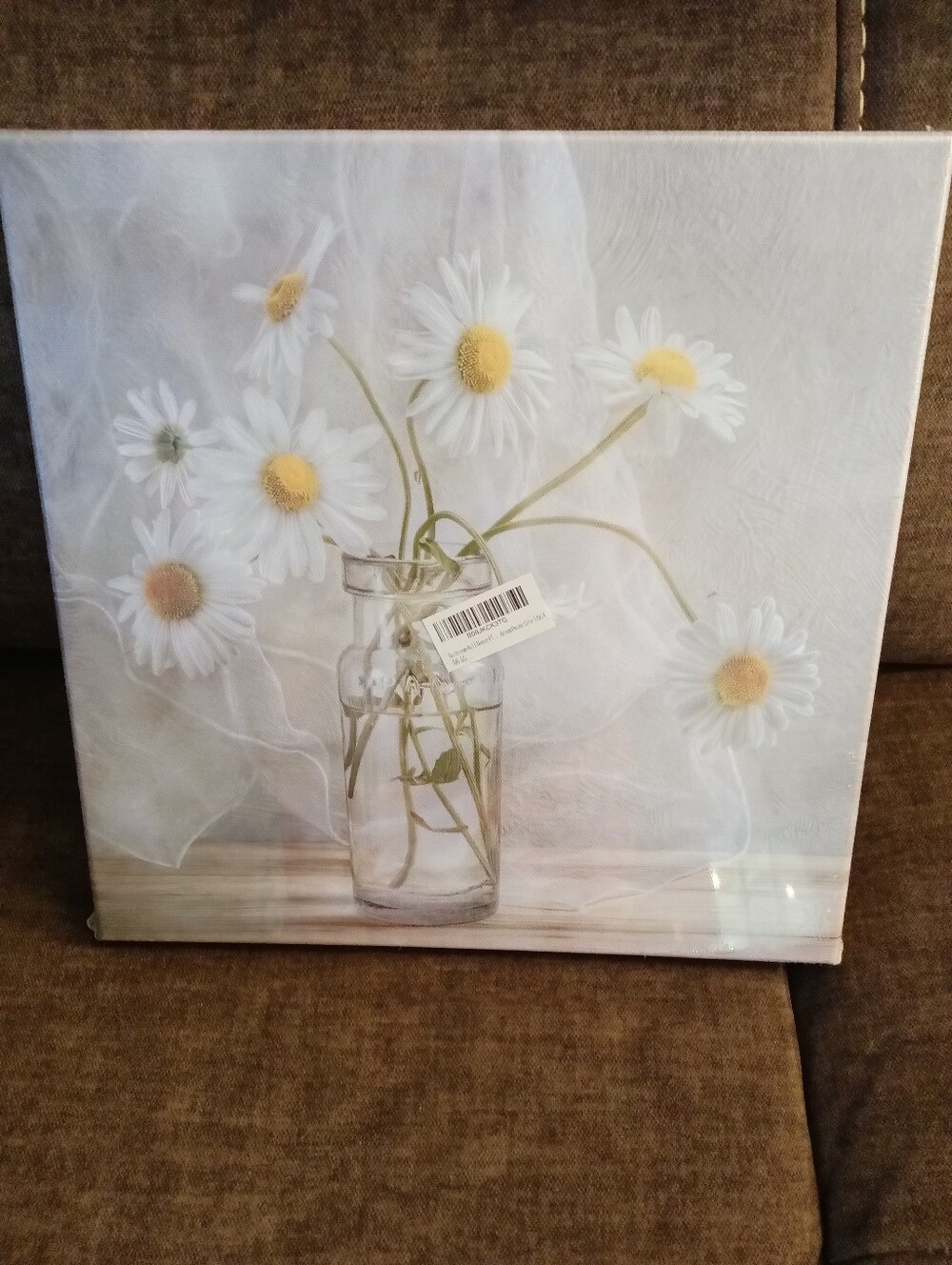 Canvas Wall Art 14x14 Daisies In A Jar